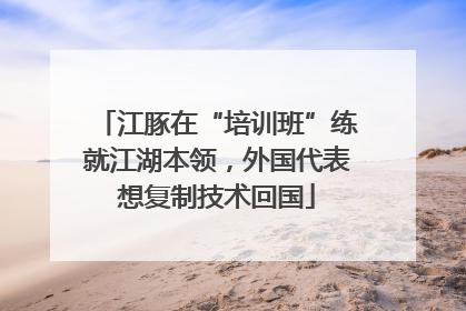 江豚在“培训班”练就江湖本领，外国代表想复制技术回国