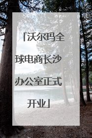 沃尔玛全球电商长沙办公室正式开业