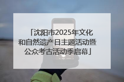 沈阳市2025年文化和自然遗产日主题活动暨公众考古活动季启幕