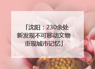 沈阳：230余处新发现不可移动文物重现城市记忆