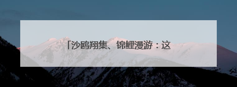 沙鸥翔集、锦鲤漫游：这处工业岸线变身生态长廊