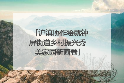 沪滇协作绘就钟屏街道乡村振兴秀美家园新画卷
