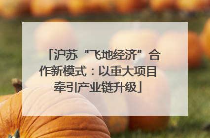 沪苏“飞地经济”合作新模式：以重大项目牵引产业链升级