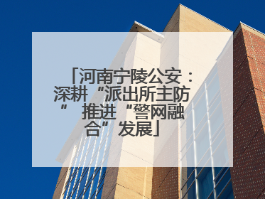 河南宁陵公安：深耕“派出所主防” 推进“警网融合”发展