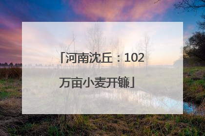 河南沈丘：102 万亩小麦开镰