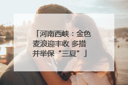 河南西峡：金色麦浪迎丰收 多措并举保“三夏”