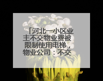 河北一小区业主不交物业费被限制使用电梯，物业公司：不交钱还想用电梯，这钱谁出？