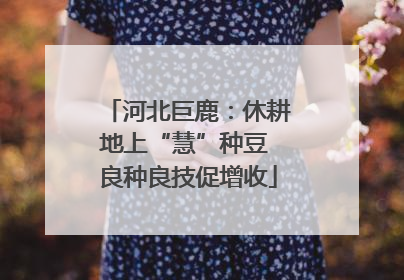 河北巨鹿：休耕地上“慧”种豆 良种良技促增收