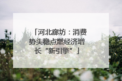 河北廊坊：消费势头稳点燃经济增长“新引擎”