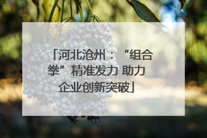 河北沧州：“组合拳”精准发力 助力企业创新突破