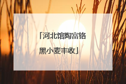 河北馆陶富铬黑小麦丰收