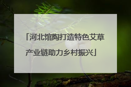 河北馆陶打造特色艾草产业链助力乡村振兴