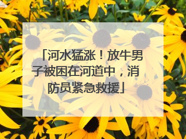 河水猛涨！放牛男子被困在河道中，消防员紧急救援