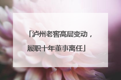 泸州老窖高层变动，履职十年董事离任