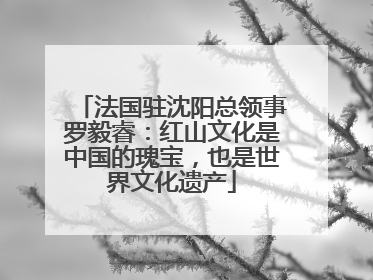 法国驻沈阳总领事罗毅睿：红山文化是中国的瑰宝，也是世界文化遗产