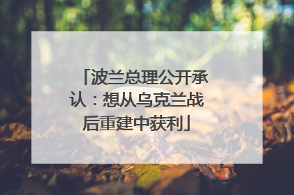 波兰总理公开承认：想从乌克兰战后重建中获利