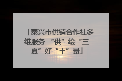 泰兴市供销合作社多维服务 “供”绘“三夏”好“丰”景