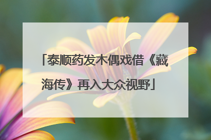 泰顺药发木偶戏借《藏海传》再入大众视野