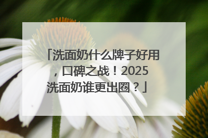 洗面奶什么牌子好用，口碑之战！2025洗面奶谁更出圈？