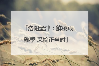 洛阳孟津：鲜桃成熟季 采摘正当时