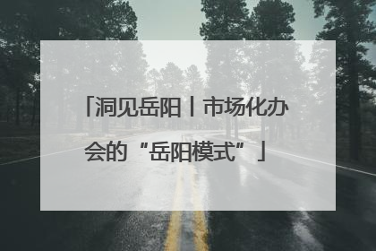 洞见岳阳丨市场化办会的“岳阳模式”