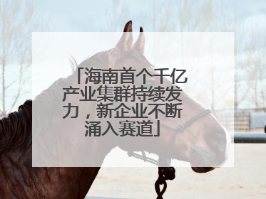 海南首个千亿产业集群持续发力，新企业不断涌入赛道