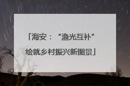 海安：“渔光互补” 绘就乡村振兴新图景