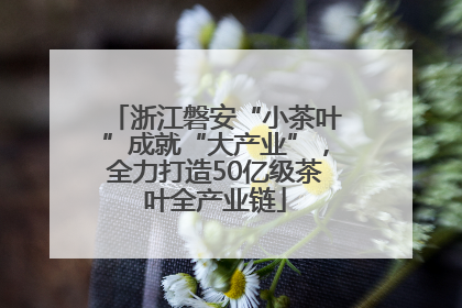 浙江磐安“小茶叶”成就“大产业”，全力打造50亿级茶叶全产业链