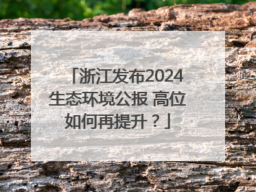 浙江发布2024生态环境公报 高位如何再提升？
