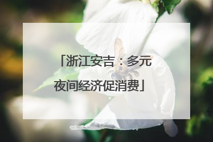 浙江安吉：多元夜间经济促消费