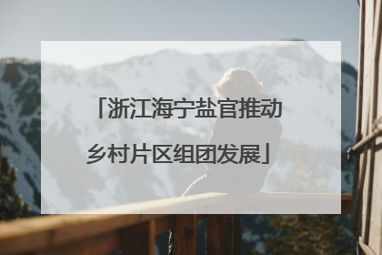 浙江海宁盐官推动乡村片区组团发展