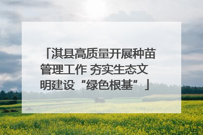 淇县高质量开展种苗管理工作 夯实生态文明建设“绿色根基”