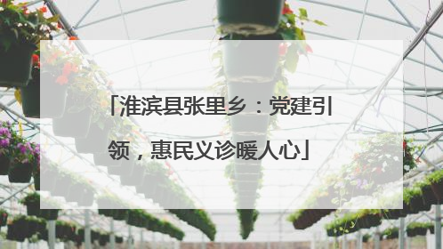淮滨县张里乡：党建引领，惠民义诊暖人心