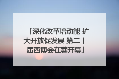 深化改革增动能 扩大开放促发展 第二十届西博会在蓉开幕