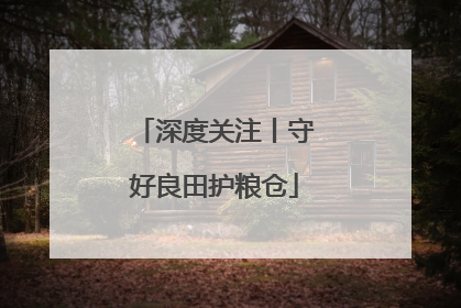深度关注丨守好良田护粮仓