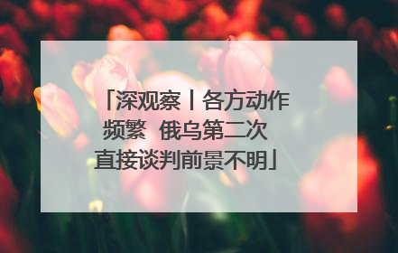 深观察丨各方动作频繁  俄乌第二次直接谈判前景不明