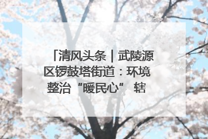 清风头条｜武陵源区锣鼓塔街道：环境整治“暖民心” 辖区面貌“靓”起来
