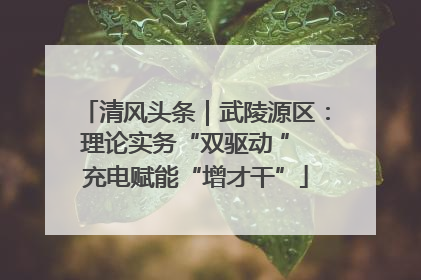 清风头条｜武陵源区：理论实务“双驱动 ” 充电赋能“增才干”