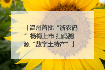温州首批“浙农码”杨梅上市 扫码溯源“数字土特产”