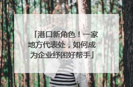 港口新角色！一家地方代表处，如何成为企业纾困好帮手