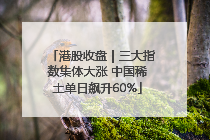 港股收盘｜三大指数集体大涨 中国稀土单日飙升60%
