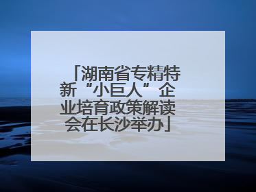 湖南省专精特新“小巨人”企业培育政策解读会在长沙举办
