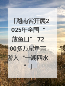 湖南省开展2025年全国“放鱼日” 7200多万尾鱼苗游入“一湖四水”