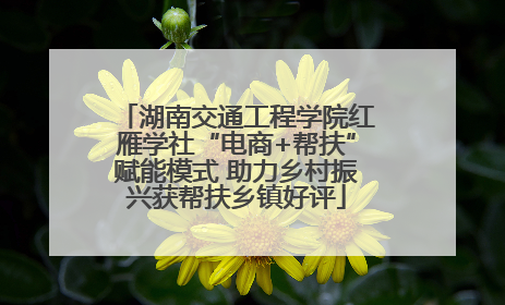 湖南交通工程学院红雁学社“电商+帮扶”赋能模式 助力乡村振兴获帮扶乡镇好评
