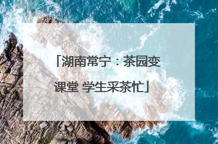 湖南常宁：茶园变课堂 学生采茶忙