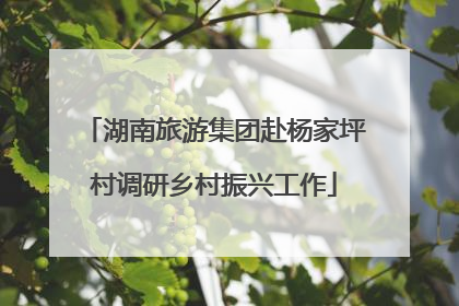 湖南旅游集团赴杨家坪村调研乡村振兴工作