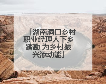 湖南洞口乡村职业经理人下乡踏勘 为乡村振兴添动能