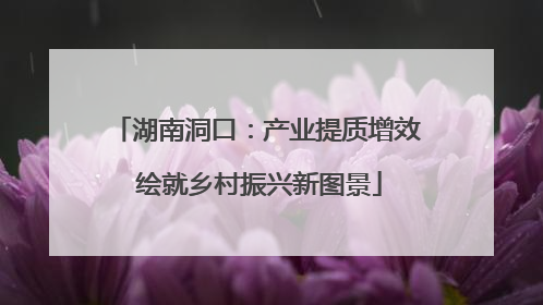 湖南洞口：产业提质增效 绘就乡村振兴新图景