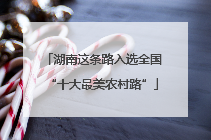 湖南这条路入选全国“十大最美农村路”
