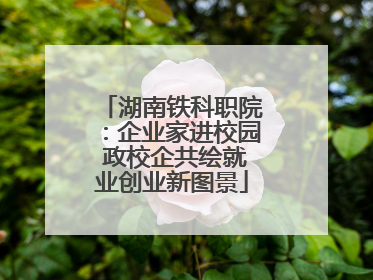 湖南铁科职院：企业家进校园 政校企共绘就业创业新图景